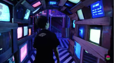 The Meow Wolf Experience